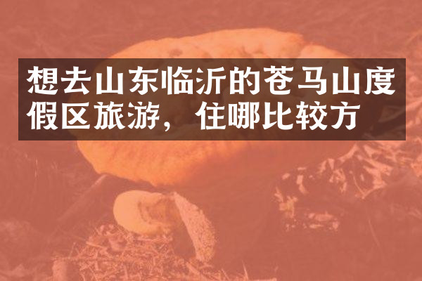 想去山东临沂的苍马山度假区旅游，住哪比较方便