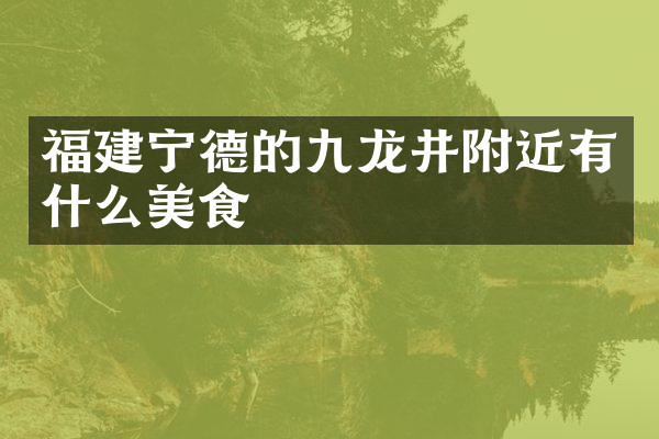 福建宁德的九龙井附近有什么美食