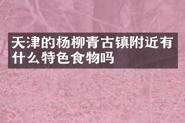 天津的杨柳青古镇附近有什么特色食物吗