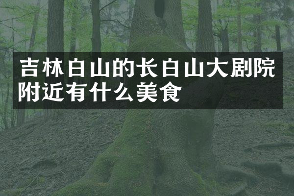 吉林白山的长白山大剧院附近有什么美食