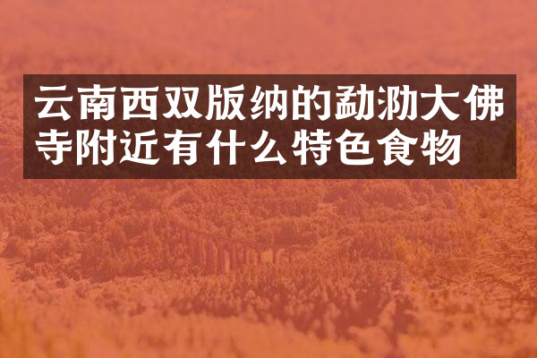 云南西双版纳的勐泐大佛寺附近有什么特色食物吗