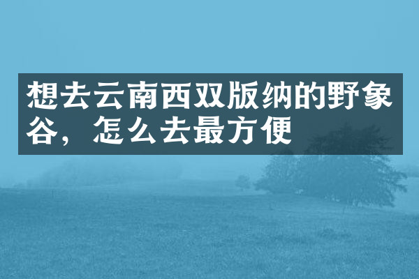 想去云南西双版纳的野象谷，怎么去最方便