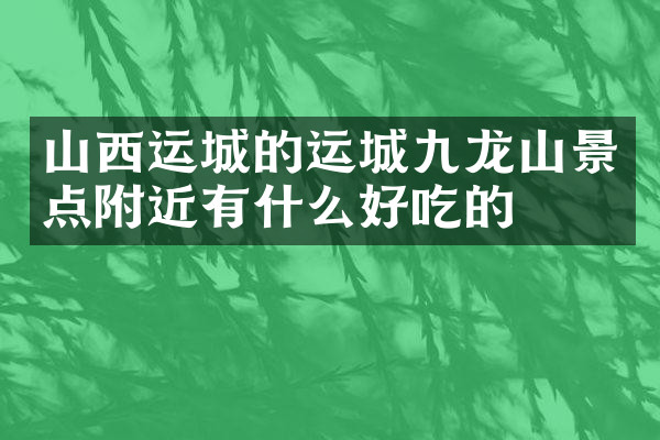 山西运城的运城九龙山景点附近有什么好吃的