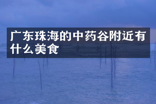 广东珠海的中药谷附近有什么美食