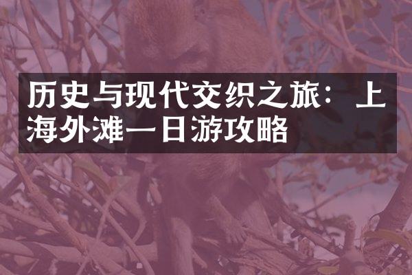 历史与现代交织之旅：上海外滩一日游攻略