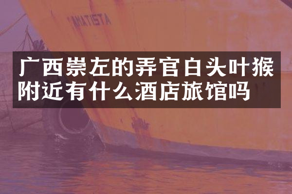 广西崇左的弄官白头叶猴附近有什么酒店旅馆吗