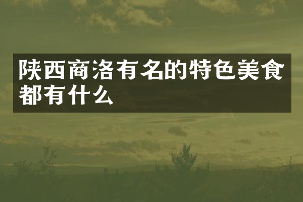 陕西商洛有名的特色美食都有什么