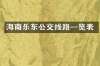 海南乐东公交线路一览表