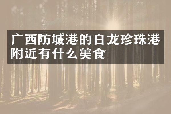 广西防城港的白龙珍珠港附近有什么美食