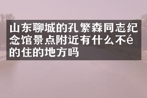 山东聊城的孔繁森同志纪念馆景点附近有什么不错的住的地方吗