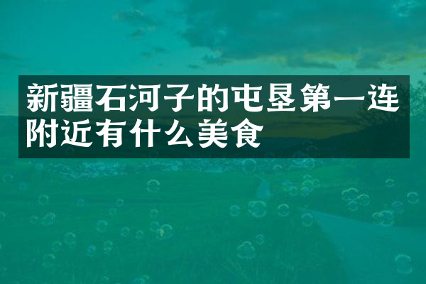 新疆石河子的屯垦第一连附近有什么美食