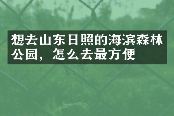 想去山东日照的海滨森林公园，怎么去最方便
