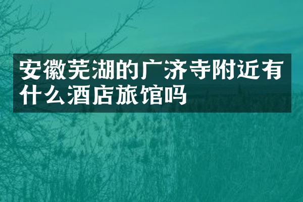 安徽芜湖的广济寺附近有什么酒店旅馆吗