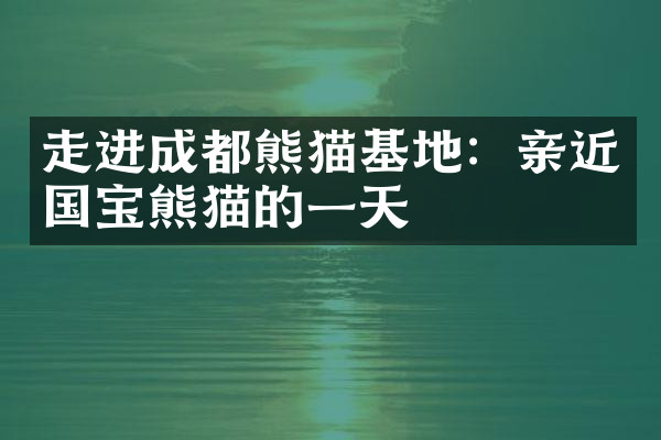走进成都熊猫基地：亲近国宝熊猫的一天