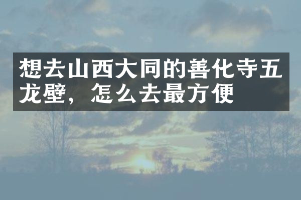 想去山西大同的善化寺五龙壁，怎么去最方便