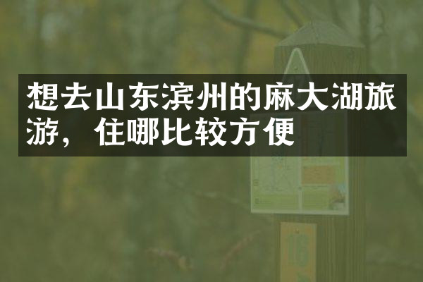 想去山东滨州的麻大湖旅游，住哪比较方便