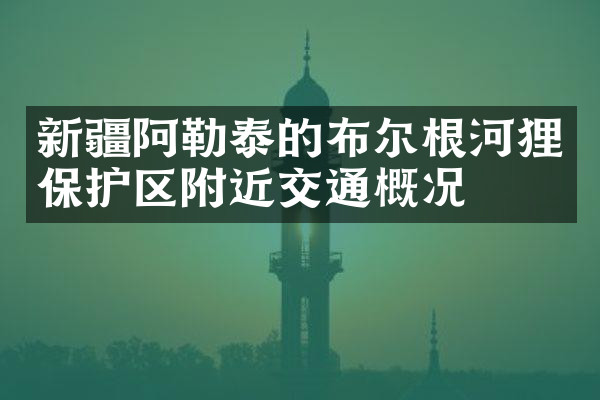 新疆阿勒泰的布尔根河狸保护区附近交通概况