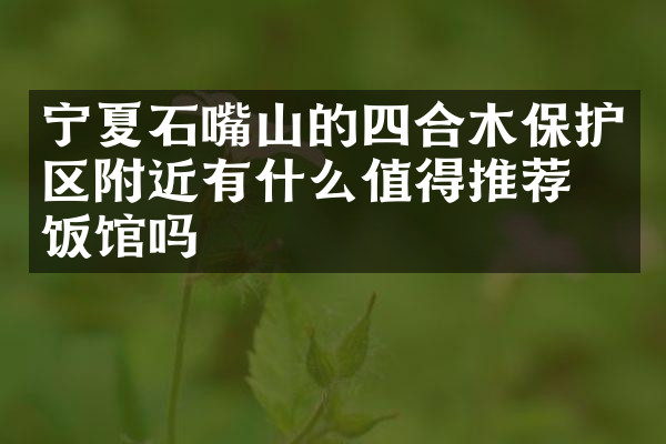 宁夏石嘴山的四合木保护区附近有什么值得推荐的饭馆吗