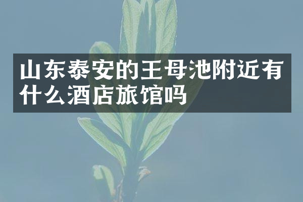山东泰安的王母池附近有什么酒店旅馆吗