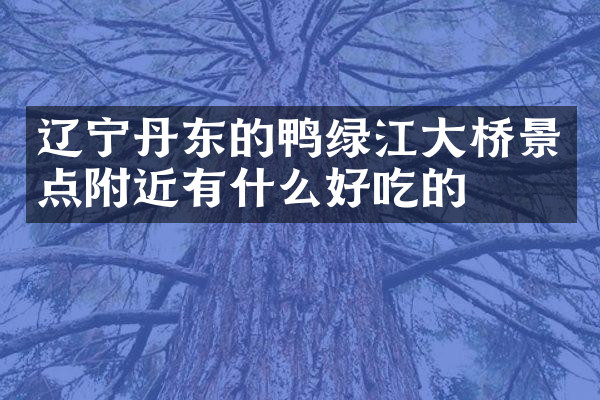辽宁丹东的鸭绿江大桥景点附近有什么好吃的
