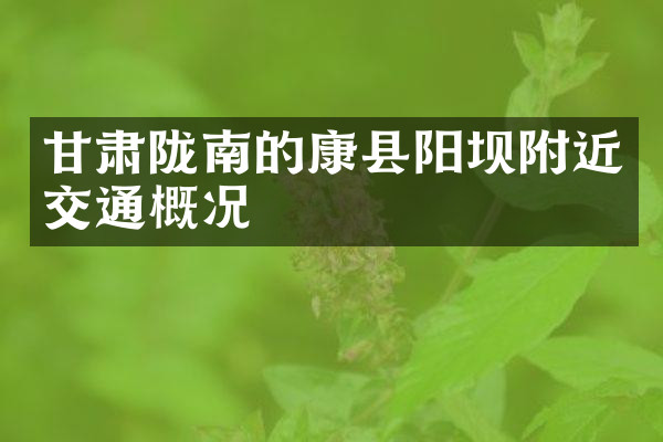 甘肃陇南的康县阳坝附近交通概况