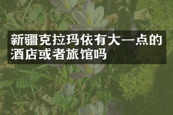 新疆克拉玛依有大一点的酒店或者旅馆吗