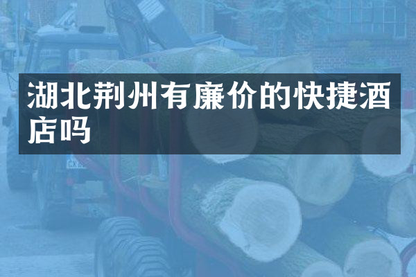 湖北荆州有廉价的快捷酒店吗