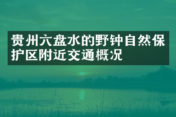 贵州六盘水的野钟自然保护区附近交通概况