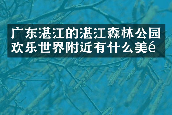 广东湛江的湛江森林公园欢乐世界附近有什么美食