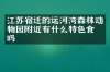 江苏宿迁的运河湾森林动物园附近有什么特色食物吗