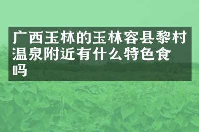 广西玉林的玉林容县黎村温泉附近有什么特色食物吗