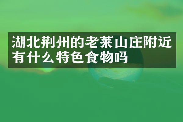 湖北荆州的老莱山庄附近有什么特色食物吗
