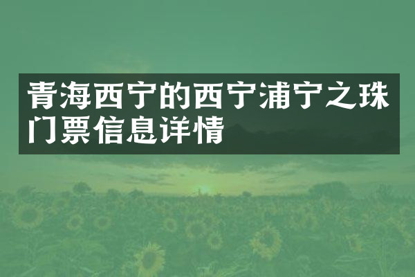 青海西宁的西宁浦宁之珠门票信息详情