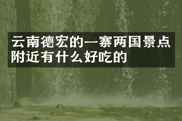云南德宏的一寨两国景点附近有什么好吃的
