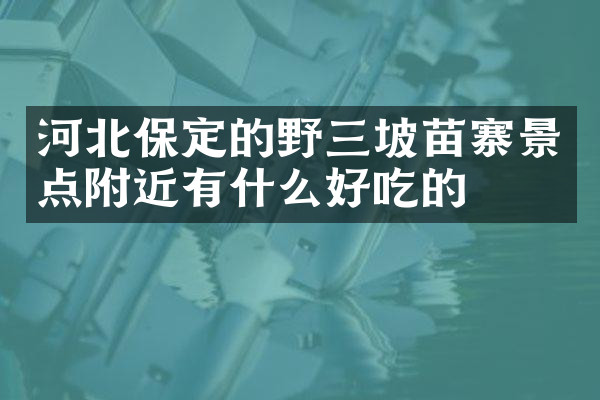 河北保定的野三坡苗寨景点附近有什么好吃的