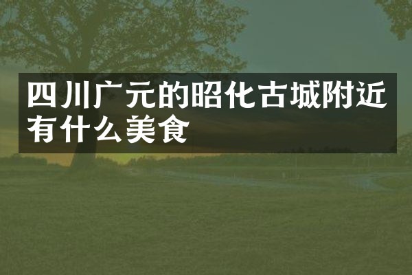 四川广元的昭化古城附近有什么美食