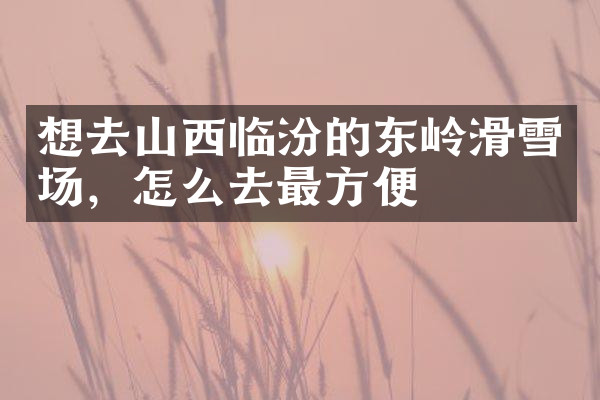 想去山西临汾的东岭滑雪场，怎么去最方便