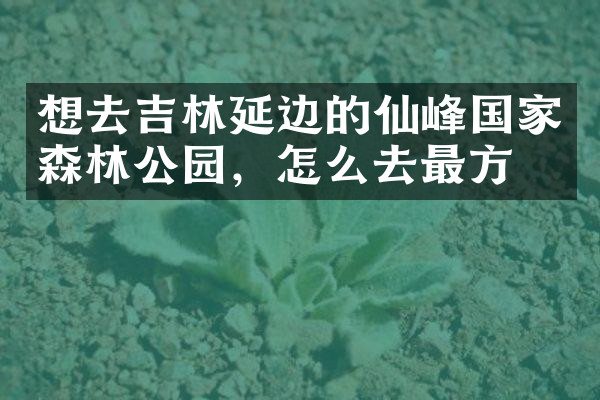 想去吉林延边的仙峰国家森林公园，怎么去最方便