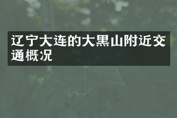 辽宁大连的大黑山附近交通概况