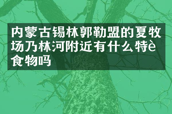 内蒙古锡林郭勒盟的夏牧场乃林河附近有什么特色食物吗