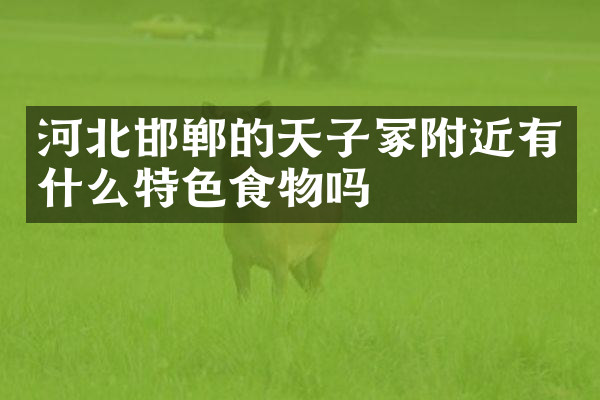 河北邯郸的天子冢附近有什么特色食物吗