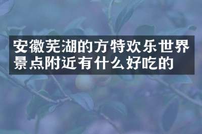 安徽芜湖的方特欢乐世界景点附近有什么好吃的