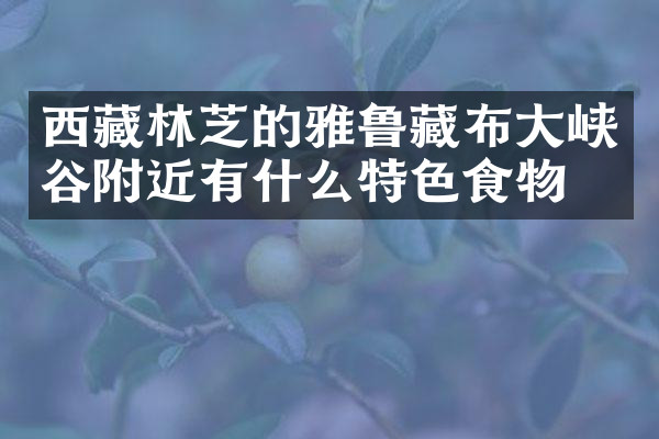 西藏林芝的雅鲁藏布大峡谷附近有什么特色食物吗