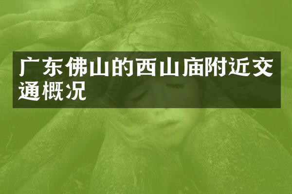 广东佛山的西山庙附近交通概况