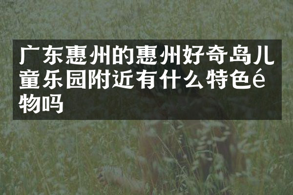 广东惠州的惠州好奇岛儿童乐园附近有什么特色食物吗