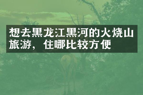 想去黑龙江黑河的火烧山旅游，住哪比较方便