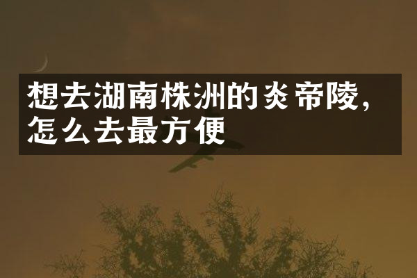 想去湖南株洲的炎帝陵，怎么去最方便