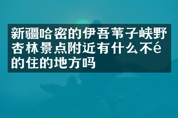 新疆哈密的伊吾苇子峡野杏林景点附近有什么不错的住的地方吗