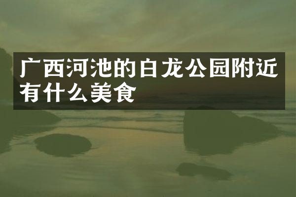 广西河池的白龙公园附近有什么美食