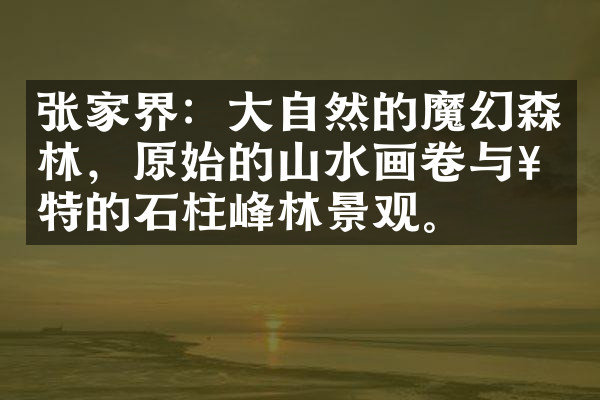 张家界：大自然的魔幻森林，原始的山水画卷与奇特的石柱峰林景观。
